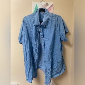 Blue Button Up Woman Within Shirt